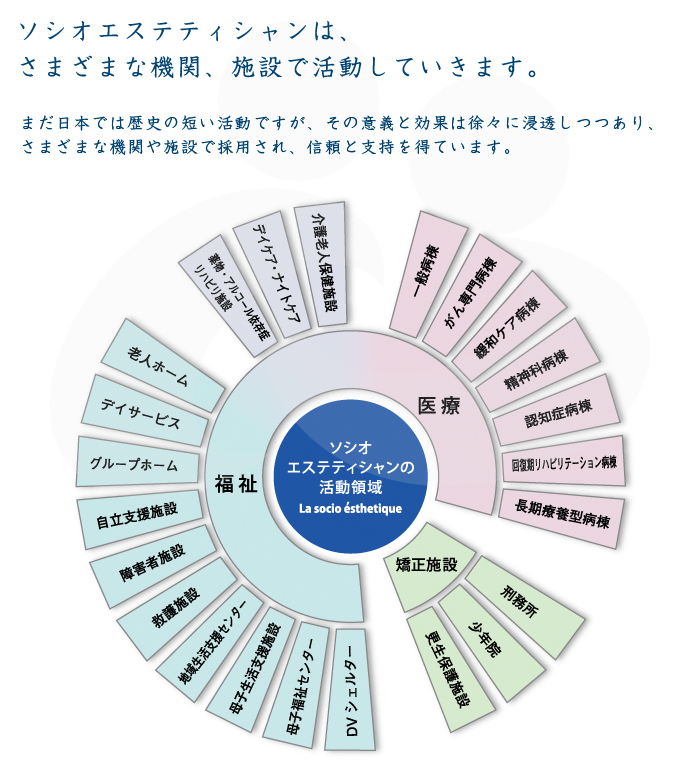 ソシオエステティックの活動領域