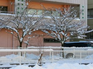 雪だるま…心はほっこり温かく！