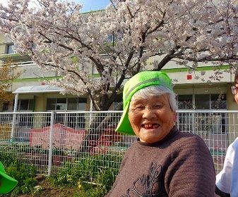 お花見散歩🌸…大東グループホーム