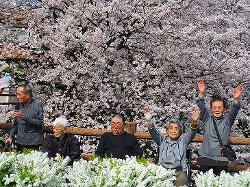 春爛漫～桜満開～大東デイサービスセンター