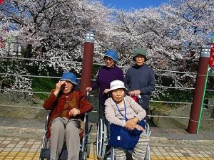 安八町中須川千本桜…大東デイサービスセンター