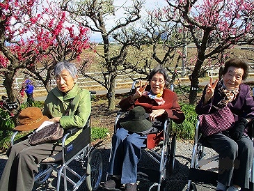 百梅園に出かけました…ひだまりライフ大東