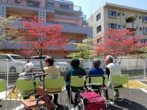 施設のハナミズキがきれいに咲きました♪