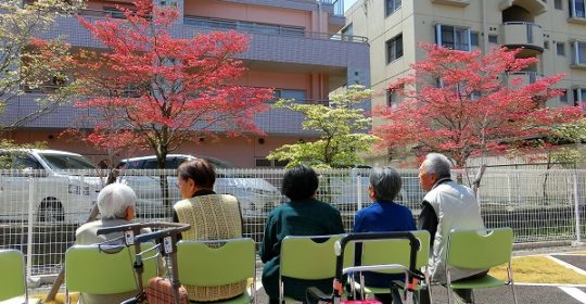 施設のハナミズキがきれいに咲きました♪