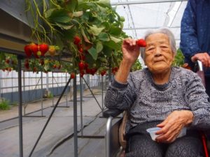 いちご狩り…大東グループホーム