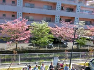 青空の下で初夏を感じる