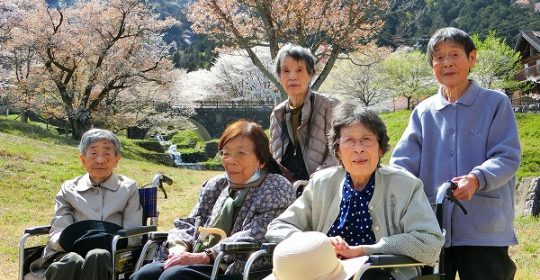 霞間ヶ渓の桜…ひだまりライフ大東①