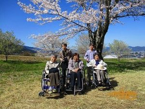 霞間ヶ渓の桜…ひだまりライフ大東