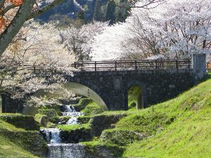 霞間ヶ渓の桜…ひだまりライフ大東