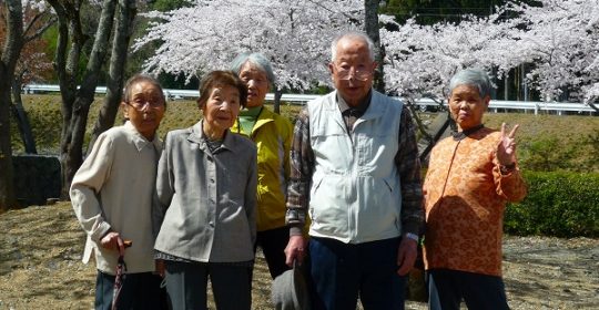 池田町大津谷公園の桜…ひだまりライフ大東