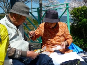 池田町大津谷公園の桜…ひだまりライフ大東②