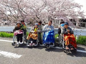 お花見に出かけました…ゴールドライフ大東