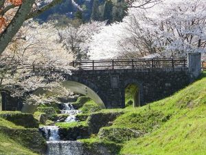 霞間ヶ渓の桜…ひだまりライフ大東③