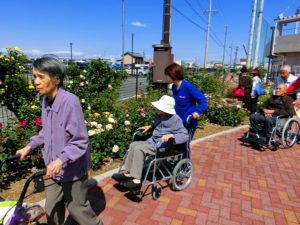 神戸町バラ公園に行ってきました！