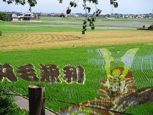 紫陽花を見に行ってきました…大東デイサービスセンター