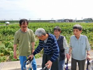 大垣ひまわり畑に行ってきました！