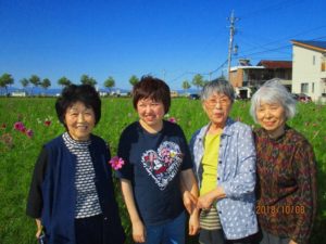 コスモスが見ごろです♪自然とふれあいリフレッシュ！