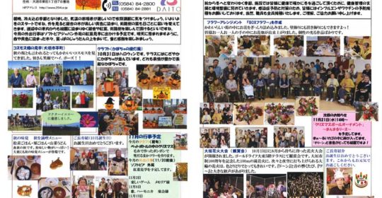 大東デイサービスセンターだより 11月号（平成30年）