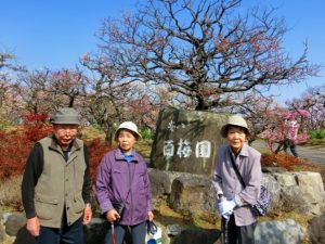 安八百梅園に行ってきました♪