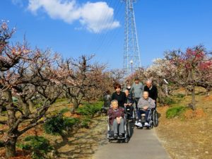 安八百梅園に行ってきました♪