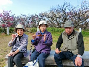 安八百梅園に行ってきました♪