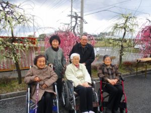 安八百梅園に行ってきました♪