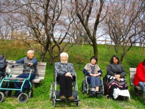 桜だより…曽根城公園に行ってきました♪