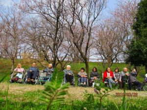 桜だより…曽根城公園に行ってきました♪