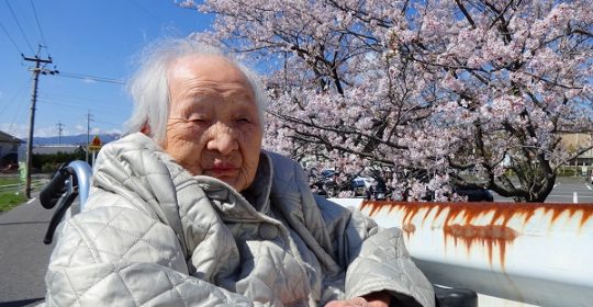 町内散歩♪…満開の桜を満喫しました🌸