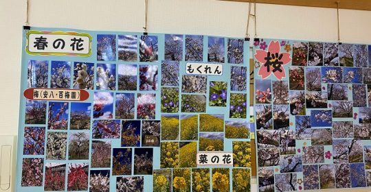 春の花　デイサービスセンター