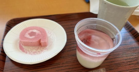 桜ロールケーキとさくらゼリー-お楽しみおやつ