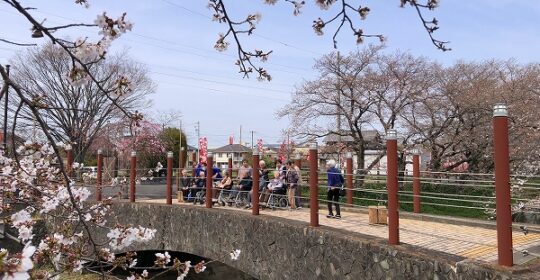 お花見ドライブに行ってきました🌸